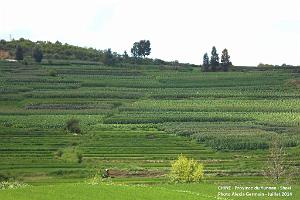 080 - Shaxi